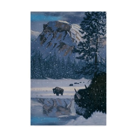 D. Rusty Rust 'Winter Buffalo' Canvas Art,22x32